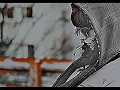 وليد الشامي راشد الماجد سافرت عني http://youtu.be/k3XJEy67g_c