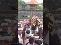 Download Lagu Balinese Ceremony of Wrespati Pengepik in Darmasaba Village
