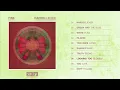 Fink - 'Looking Too Closely'