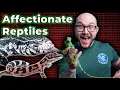 Do Reptiles Really Love You Top 5 Most Affectionate Pet Reptiles