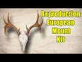 Reproduction European Mount Kit - Make it Look Real