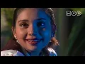 Download Lagu Harus Balas Budi Seumur Hidup | Istri Pilihan Episode 24