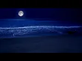 Sleep By The Sea All Night With The Full Moon And Relaxing Sparkling Waves on Zavival Beach, 11 Hrs