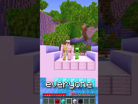 Minecraft Meme