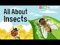 Download Lagu All You Need to Know About Insects