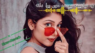 زه نیازبینه یم ده مور یوا دانه  زه نیازبینه یم ده مور یوا دانه