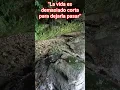 Download Lagu #naturaleza #descubrechiapas #frasesinspiradoras #nature #viajeinolvidable #viralshorts #seguidores