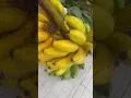 Download Lagu Feb8 banana#short #food #viralshorts #satisfying
