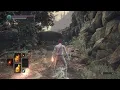 Dark Souls III - 0 equip load run