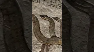 اہرام مصر کی قدیم تہذیب Hieroglyphs 