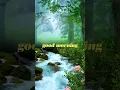 Download Lagu #vana vana#goodmorning#wishes #🌞🌞🌄🌄🪷🪷🦚🦚💐💐🌹🌹🌹 #love #song #like #share #subscribe #comment #follow ##