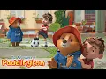 Download Lagu Paddington | PADDINGTON PLAYS FOOTBALL