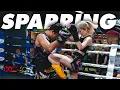 Download Lagu Superlek Muay Thai Sparring with Students | YOKKAO Seminar Highlights