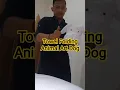 Download Lagu Towel Folding - Towel Animal Dog | Towel Art | Towel origami | How to Make Towel Dog