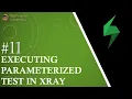 Tutorial Executing a Parametrized Test Parameters in Xray Xray Tutorials