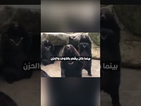 لم يستطع ان يجد صديق !