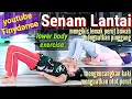 Download Lagu SENAM LANTAI bakar lemak perut bawah dan kaki | Senam Pembentukan | Lower Body Exercise | Tinydance