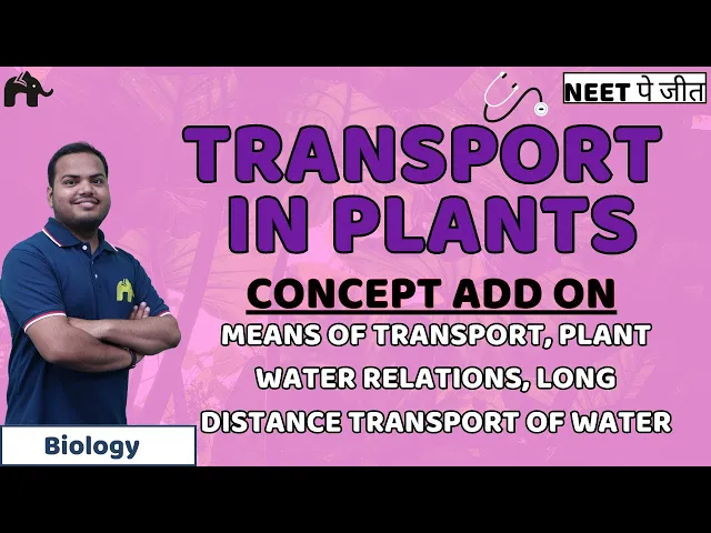 Transport in Plants Class 11 Biology NEET | Means of Transport, Plant Water Relations