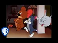 Download Lagu Tom y Jerry en Latino | Jerry y Jumbo Se Asocian | WB Kids
