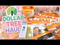 Huge Dollartree Haul New Finds