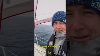 realtime update: we’re now sailing the Northwest Passage, that’s why you see snowfall in August!