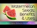 Watermelon Seeds Benefits Uses Boiled