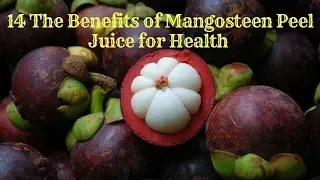 http:// www.theSSmodel.com/ Mangosteen is widely regarded as The Queen of All Fruits because of th. 