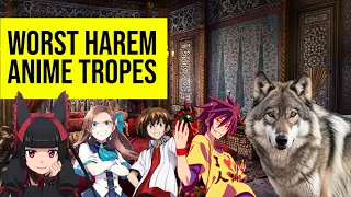 Worst Harem Anime Tropes