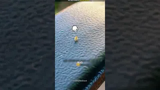 Tiny Bug Dancing On The Chair