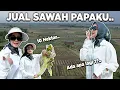 RICIS JUAL SAWAH PAPA DI BREBES..