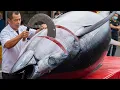 Download Lagu How He Cuts This 478kg GIANT Bluefin Tuna Will Blow Your Mind #MonsterTuna