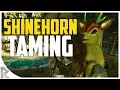 SHINEHORN TAMING MINI-GOAT - How to Tame Shinehorn