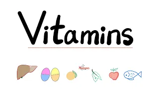 Mastering Vitamins and Minerals: A Quick Dive into Diet & Nutrition