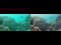 DeepFish - Unsupervised Underwater image enhancement