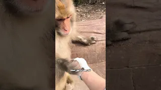 كان يتوقع منها الكثير 