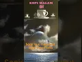 Download Lagu KOPI MALAM - 02 #penyegaranrohanisms