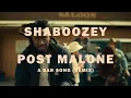 Shaboozey ft Post Malone - A bar song (remix)