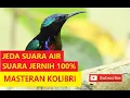 Download Lagu MASTERAN KOLIBRI MP3 - JEDA SUARA AIR FULL HD