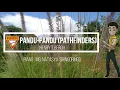 Pathfinder Songs ( Pandu-Pandu) Cover by SDAC Pulomas