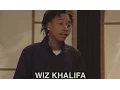 Wiz Khalifa The Eric Andre Show Adult Swim
