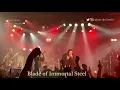 Twilight Force - Blade of Immortal Steel @amHALL, Osaka, Japan January 24, 2020 LIVE Premiere 4K60p