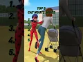 The funniest cat in the world