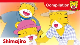 16 Minutes Learning Compilation Learning With Shimajiro And Friends Shimajiro Official  16 Minutes Learning Compilation Learning With Shimajiro And Friends Shimajiro Official