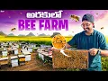 Download Lagu అరకు తేనె ఫారం 🍯 || Exploring Araku’s Bee Farm || Chocolate Factory 