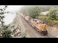 Foggy double-stack Q train with a surprise ending in Seattle s Carkeek Park