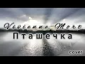 Vivienne Mort - Пташечка (cover)