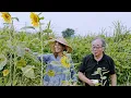 Download Lagu Een heerlijke ochtend in de natuur