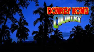 Donkey Kong Country Relaxing Music From Entire Series Tropical Forest At Night 