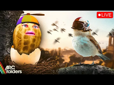 Video Thumbnail: 🔴LIVE | ARC RAIDERS | BIRD CITYYYYYYYYYYYY | CAW CAW! | #SheBeakMyBirdTillIEgg #BUNGULATE
