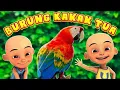 Download Lagu upin ipin | burung kakak tua | opening